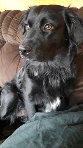 Abby Mae